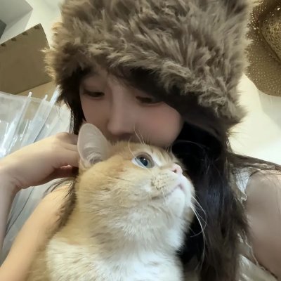 干支魂:猫客万来